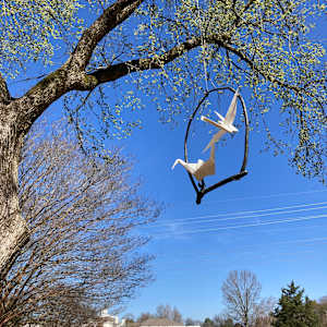 Sway With Me by Kevin Box Studio 