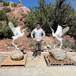 Dancing Crane by Kevin Box Studio 