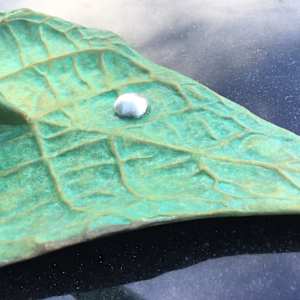 Emerging Peace by Kevin Box Studio 