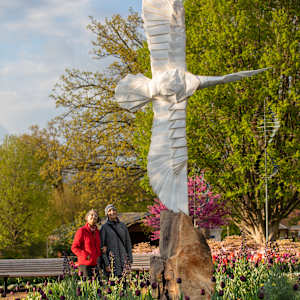 Flying Folds by Kevin Box Studio 