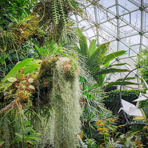 Sway With Me by Kevin Box Studio 