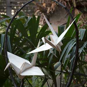 Sway With Me by Kevin Box Studio 