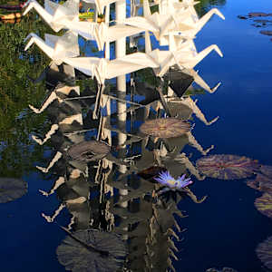Master Peace by Kevin Box Studio, Image 11.