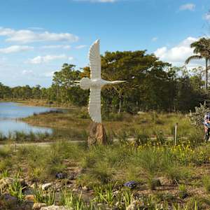 Flying Folds by Kevin Box Studio 