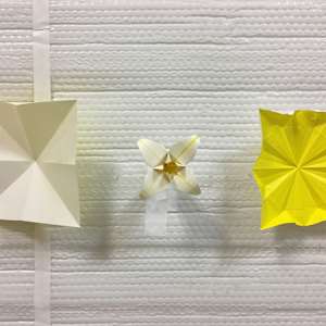 Consider the Lily by Kevin Box Studio, Image 8.
