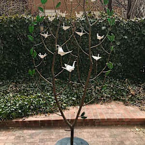 Family Tree II (standing & hanging) by Kevin Box Studio 