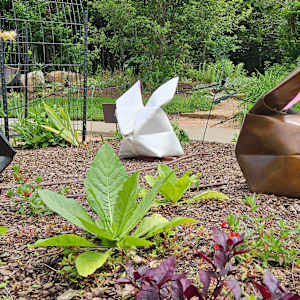 Best Bunny by Kevin Box Studio 