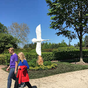 Flying Folds by Kevin Box Studio 