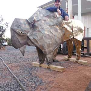 White Bison by Kevin Box Studio 