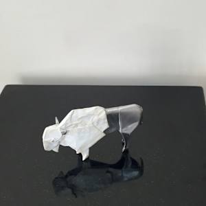 White Bison by Kevin Box Studio 