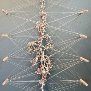 Food coupons 6 by Perry Gross