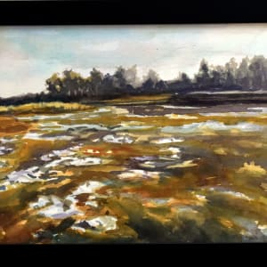 Swamp Ice - Gilsland Farm/ Maine Audubon by Deena S. Ball 