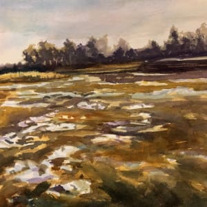 Swamp Ice - Gilsland Farm/ Maine Audubon by Deena S. Ball 