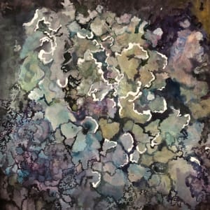 Lichen - Blackstrap Community Preserve by Deena S. Ball 