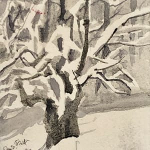 Apple tree in the Snow by Deena S. Ball 