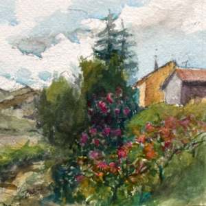 Vineyard by Deena S. Ball, Image 1.