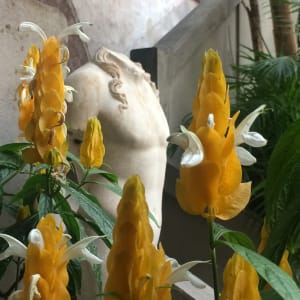 Strong Work by Chris Pero 