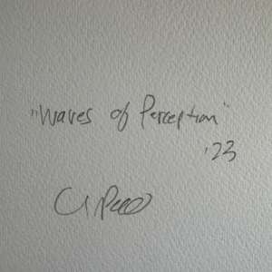 Waves of Perception by Chris Pero 