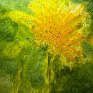 Tournesol by Chris Pero, Image 1.