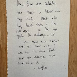 Held Between the Marks by Chris Pero 