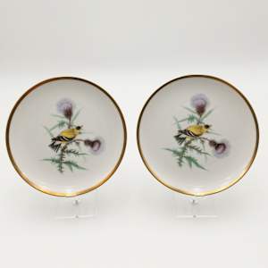 HUTSCHENREUTHER Pasco Audubon Bird Plates 
