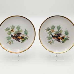 HUTSCHENREUTHER Pasco Audubon Bird Plates 