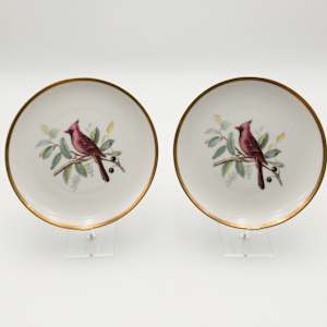 HUTSCHENREUTHER Pasco Audubon Bird Plates 