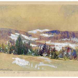 Bavarian Forest by Artist Unknown, Image 4.