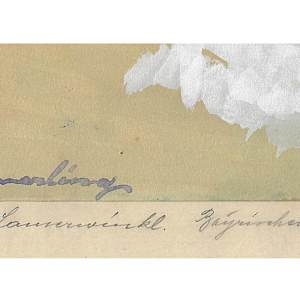 Bavarian Forest by Artist Unknown, Image 1.