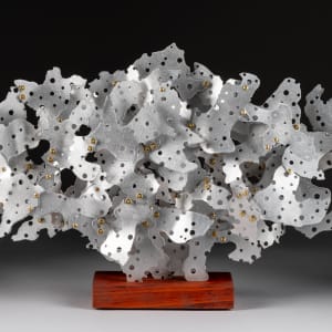 Bierstadt - Ripples series by Michael Enn Sirvet  (Sirvet Studios LLC)  Image: Bierstadt - view #2