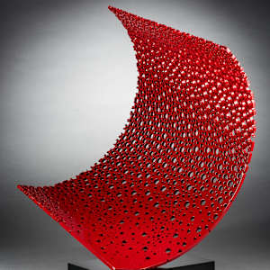 Protean Curve I by Michael Enn Sirvet  (Sirvet Studios LLC) 