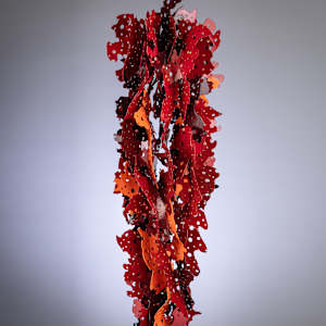 Ristra 1 by Michael Enn Sirvet  (Sirvet Studios LLC)  Image: Image 2
