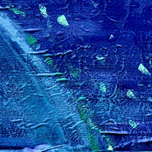 The Tree Loves The River and The River Loves The Tree by Denita Benyshek, Image 5.