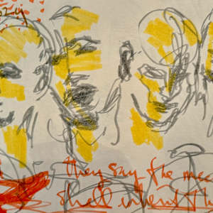 Wichita Jazz Festival, 2024, series of drawings by Denita Benyshek  Image: Tierney Sutton,  Wichita Jazz Festival, Orpheum Theatre, 4/20/24. "They say the meek shall inherit the Earth" from Sting album