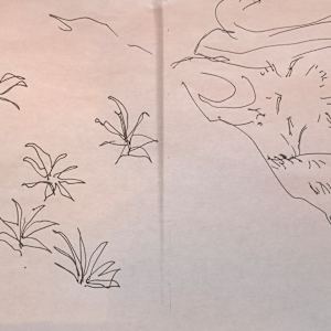 Series: Canyon de Chelly, Arizona, and New Mexico, drawings by Denita Benyshek 