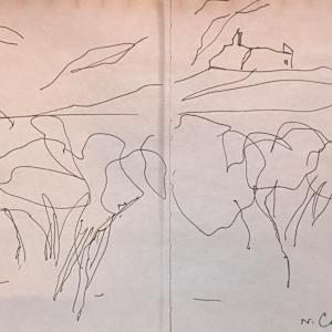 Series: Canyon de Chelly, Arizona, and New Mexico, drawings by Denita Benyshek 