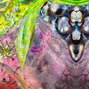 Spring Machine by Denita Benyshek 