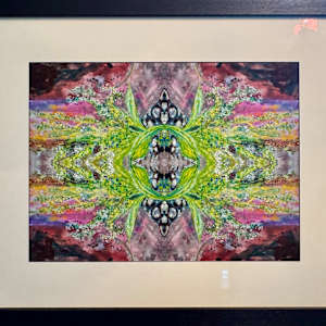 Spring Machine by Denita Benyshek 