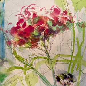 Spirea in Sunbeam by Denita Benyshek 