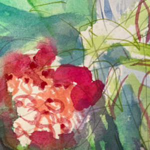 Spirea in Sunbeam by Denita Benyshek 
