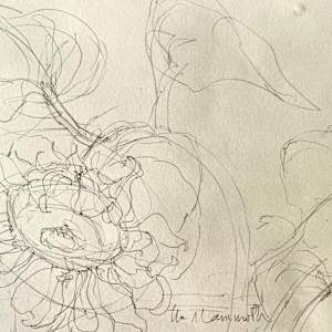 The Mammoth Sunflower by Denita Benyshek