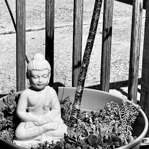 Healing Buddha and Blooming Cherry Tree by Denita Benyshek, Image 4.