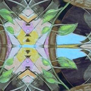 A Star in the Heart of the Forest by Denita Benyshek, Image 2.