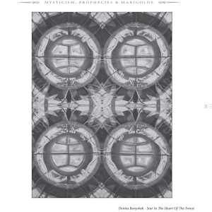 A Star in the Heart of the Forest by Denita Benyshek, Image 3.