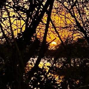 York Riverside Dawn by Karen Blacklock  Image: photo inspiration