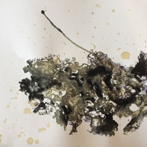 Lichen by Karen Blacklock 