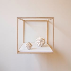 S/T X by Carolina Borrero, Lucas Gallego