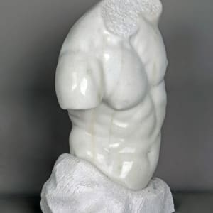 Body Study 1 - Men Torso by Caillard Leo 