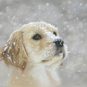Snowpuppy by Alena Bissinger