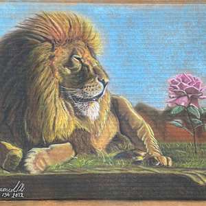 The beauty and the beast by mohamed ali